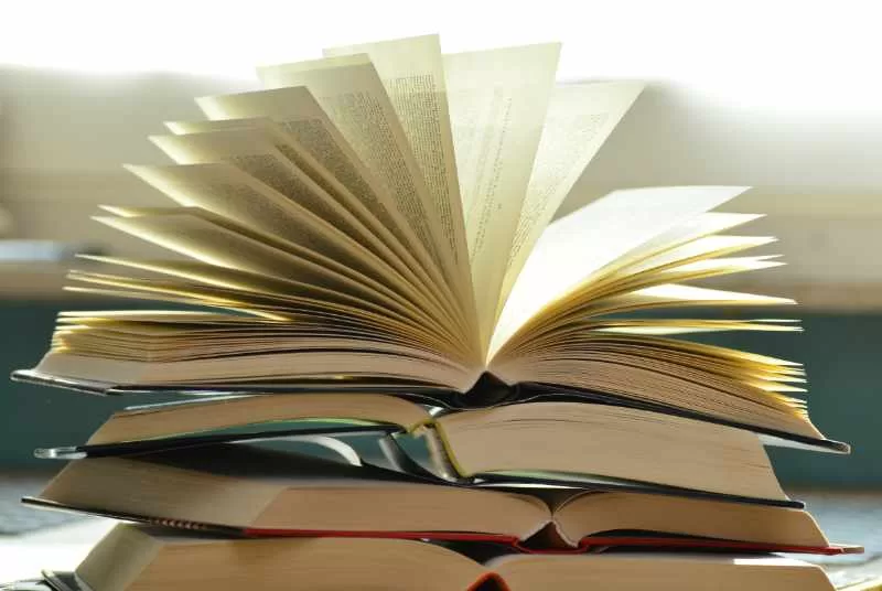 Business books for entrepreneurial leadership